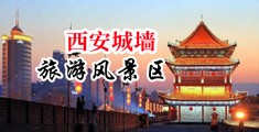 男人jj进入女人逼逼视频网站中国陕西-西安城墙旅游风景区