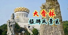 国外黄色草比视频中国浙江-绍兴大香林旅游风景区